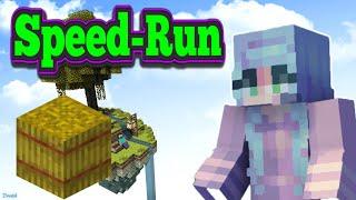 Random SpotLightPlayz Skyblock Speed-Run!