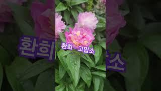 #환희 #고맙소 #현역가왕2 #플라이투더스카이 #윤탱이네 추천곡