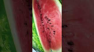 if you try to open a watermelon, what will you see first? #watermelonrindrecipe #sweetmelon,#health