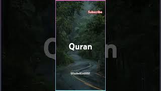 Reaction of Quran | Islamic whatsapp status #shorts #quran #foryou #allah