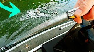 Little Kid Catches BIG Wisconsin Bass After FAILING 2X (Bobber Fishing Up North by Minocqua)