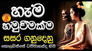 හැම බැඳීමක්ම සසර ගනුදෙනු පින්වතුනි | 2024.06.12 KOLABISSE DAMMANANDA THRO@wassanadarmadeshana9842