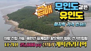 [목포토지사랑 253] 가격 또 인하! 해안선 길게 접한 무인도같은 유인도 전체 계획관리 임야 25,000py ㅣ매매가 6억5천만원(3.3당 26,000원)