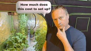 Indoor Vegetable Garden Setup Costs