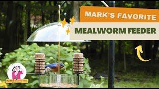 Mark's Favorite Mealworm Feeder