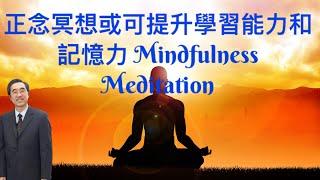 《正念冥想或可提升學習能力、記憶力，改善認知能力》｜Mindfulness Meditation