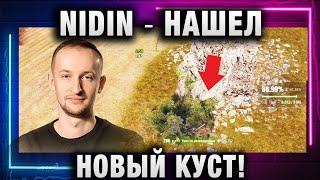 NIDIN ● НАШЕЛ НОВЫЙ КУСТ!