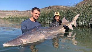 Southern Idaho Fall Fishing Update: Sturgeon fishing with some tips on how we rig up