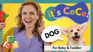 Best Toddler Videos |Learn to Talk and Sign with CeCe! Let's Learn About Dogs I For Baby & Toddler