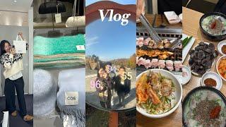 vlog. 96년생 94년생 55년생이 함께하는 대환장파티 I 흑석동 맛집 성시경 먹을텐데 진미순대국 I 코스 겨울추천템️색감대존예 신상 머플러 I 현실남매 브이로그