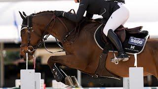 Hailey Royce and Ogue Ardkyle - 3rd $10,000 1.35m Classic WEF 9 2024