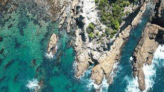 Ocean Spearfishing in Eden, New South Wales