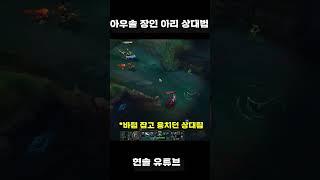 아우솔장인이 아리상대로 운영하는 노하우 #shorts #현솔
