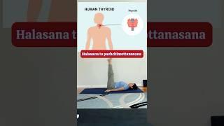 How to do halasana to pashchimottanasana ‍️#shorts #youtubeshorts #trending #yoga#thyroid #gym