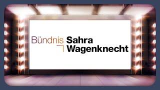 Das Wahlprogramm des BSW erklärt | Bundestagswahl 2025