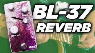 Old Blood Noise Endeavors BL-37 Reverb