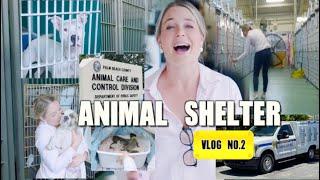 Visiting Palm Beach Animal Care and Control in FL | Vlog No. 2