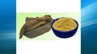 radix scrophulariae extract supplier,wholesale,bulk,factory