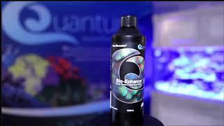  Unleash the Power of Bio-Enhance for Your Reef! 