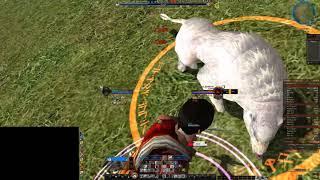 Lotro PvMP Ettenmoors - Burglar - U26 Evernight