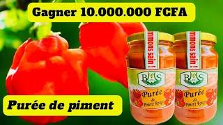 Comment produire la purée de #piment et réaliser  10.000.000F CFA ? #transformation #agroalimentaire