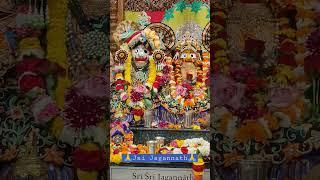 Jai Jagannath Jai Baladeva Jai Subhadra #shorts