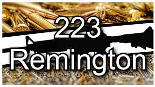 A Brief Discussion On The 223 Remington Cartridge