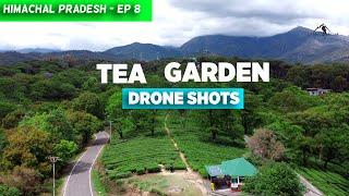 Tea Garden | War Memorial | Dharamshala | Drone Shots | Himachal Pradesh Series - EP 8