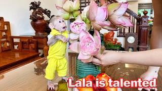 Lala skillfully helps Thuy arrange lotus flowers to decorate the house!