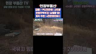 급매 전원주택부지 남향 사인안 계곡 주변 455평 #급매 #부동산 #사인암 #계곡 #전원주택부지 #시골 #단양팔경