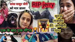 RIP Jerry The Rott सूरज की आखिरी याद JERRY अब इस दुनिया में नहीं रहा Snappygirls SnappygirlNewvlog