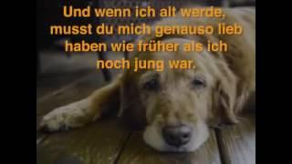 Hundefreund