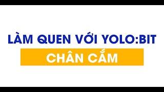 Làm quen với Yolo:Bit - Chân Cắm