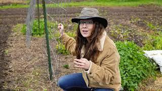 Don't Expand Your Garden Until You Do This- Vertical Gardening for More Food