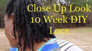 GRWM | A Look at 10 Week DIY Locs and a Mini Road Trip!!!