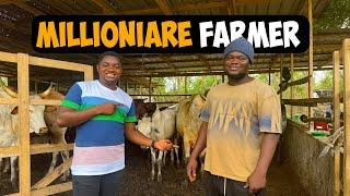 How a 27 Year Old Ghanaian Became a Millionaire Through Cattle Farming #cattle #cattlefarm