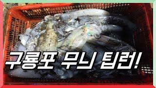 포항 무늬오징어 팁런 [석이피싱TV]