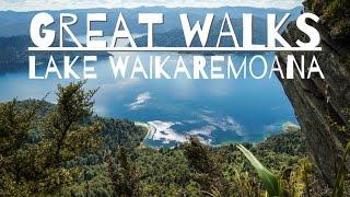 Wandern in Neuseeland! Lake Waikaremoana Great Walk! NZ on a shoestring