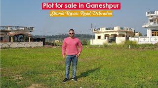 Best plot for home  purpose in Dehradun - Ganeshpur | Shimla bypass road