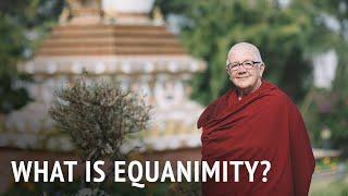 What is Equanimity? | Dr Chönyi Taylor