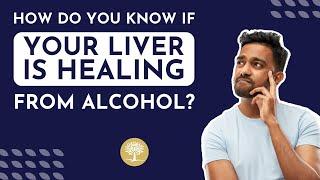 How Do You Know if Your Liver is Healing from Alcohol? #AlcoholInTheHumanBody #AlcoholFacts