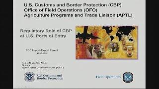 Regulatory Role of Customs, Borders and Protection at US Ports of Entry