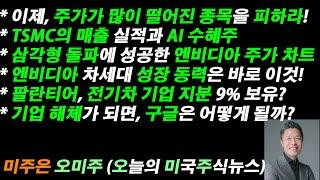 [오늘의 미국주식뉴스] 삼각형 돌파 성공한 엔비디아 주가 차트 / 엔비디아 차세대 성장 동력은 바로 이것! / 팔란티어, 전기차 기업 지분 9% 보유? / 기업 해체되면, 구글은?