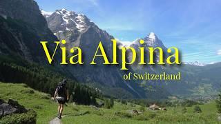 Silent Hiking 123km on The Via Alpina of Switzerland