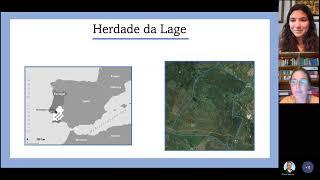 Assessment of oak silvopastoral agroforestry systems (Montado) in Portugal