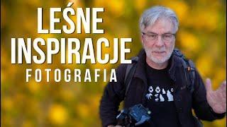 Jak Fotografować w Lesie podczas spaceru