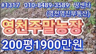 #영천주말농장1900만  200평토지앞 개울물  북안ic인근  급매