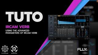 Using the Advanced Parameters of IRCAM Verb