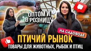 ПТИЧИЙ РЫНОК НА САДОВОДЕТОВАРЫ ДЛЯ ЖИВОТНЫХ, РЫБОК И ПТИЦ  Рынок Садовод Москва