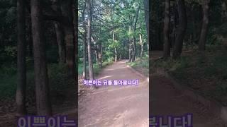 이쁜이는 뒤를 돌아봅니다!  오버!                  #산책할때#kdrama #이쁜이#대화
